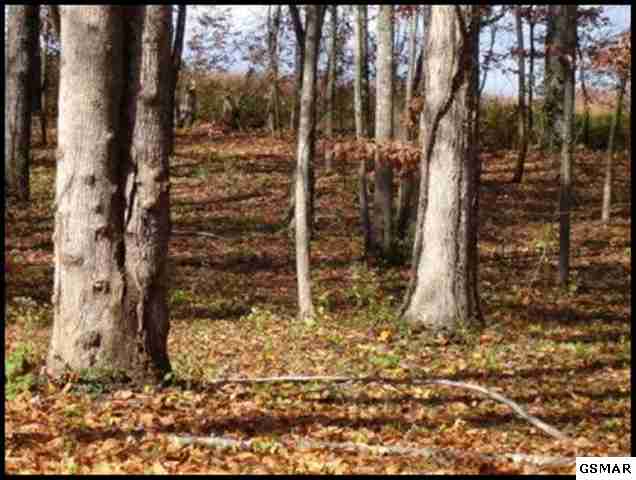 Lot 10C Ellis Woods Loop, Sevierville, Tennessee Homes & Land - Real Estate